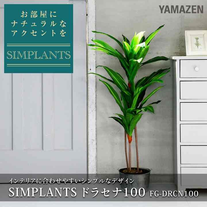 フェイクグリーン ドラセナ SIMPLANTS FG-DRCN100