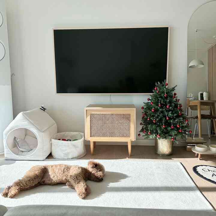 ホワイトとベージュの色調のリビングルーム、大きなラグとテレビ、犬の家、クリスマスツリーが配置された落ち着いた雰囲気のあるインテリア