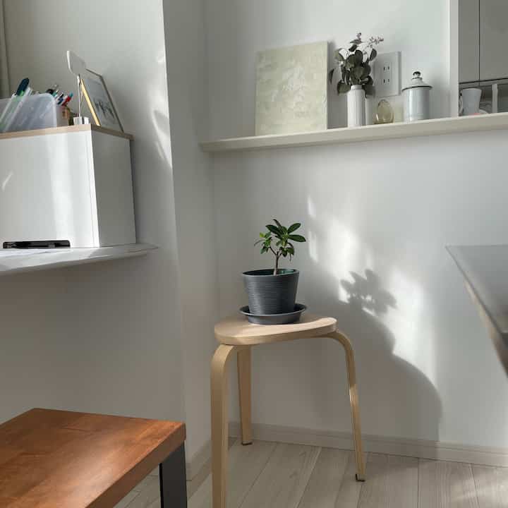 #ガジュマル
#観葉植物のある暮らし
#IKEAスツール
#リビングインテリア
#雑貨
#北欧インテリア