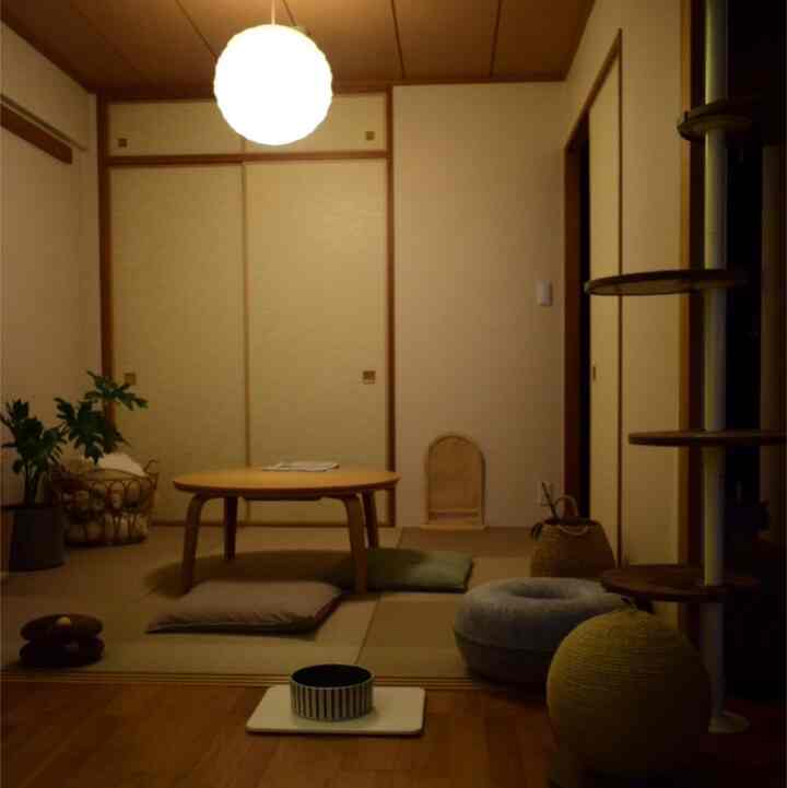Warm beige tatami room featuring a round wooden table and a cat tower, creating a cozy atmosphere