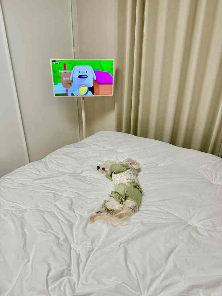 白い寝具とベージュのカーテンが調和した寝室、ベッドの上に小さな犬が横たわる落ち着いた空間
