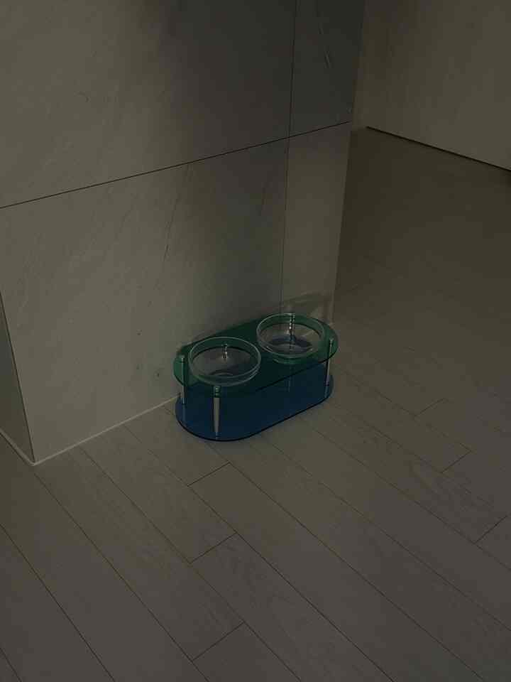 ペット用 フードボウル las'se ダブル カラーエディション［16色・2サイズ］を使ったコーディネート 2