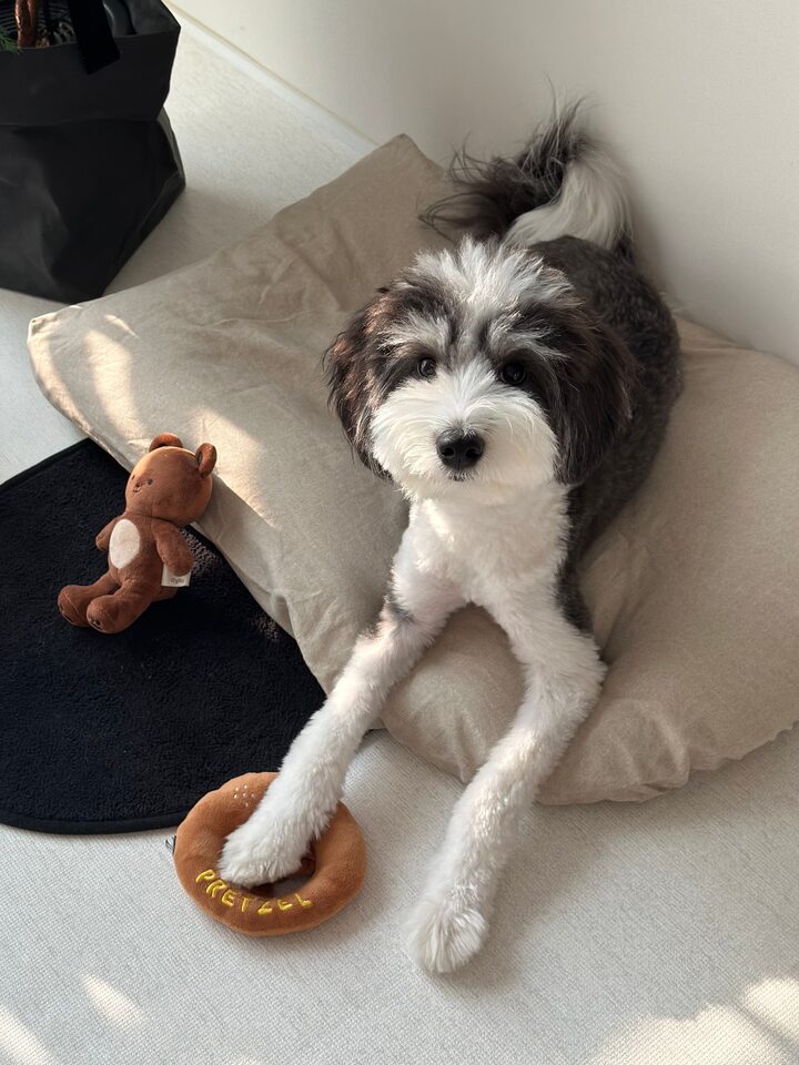 short form carousel card thumbnail