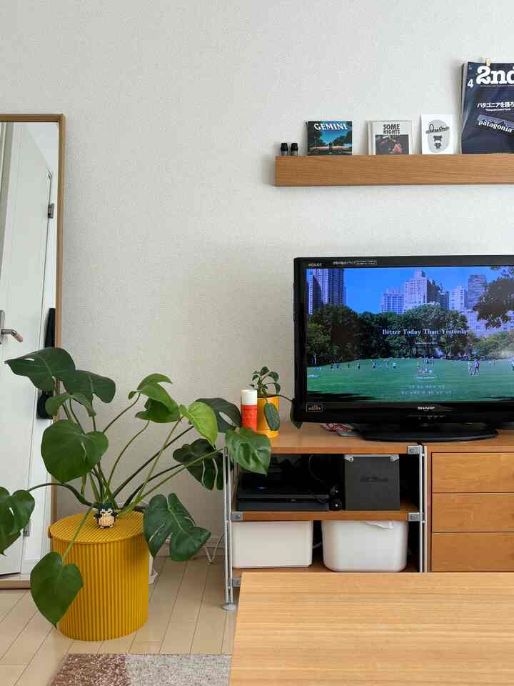 ナチュラルな木目調家具と黄色い鉢植えが配置された居心地の良い一人暮らしのリビング