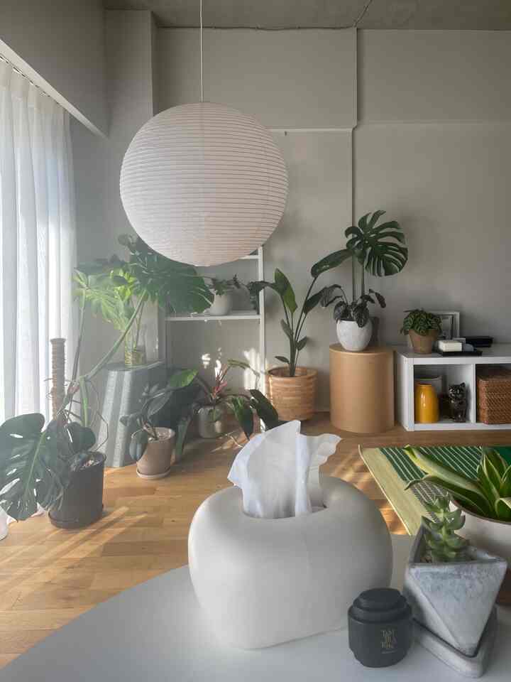 冬の朝の光が好き☀️

#リノベーション #マンションリノベーション 
#howwelive #mylvngrm #apartmenttherapy
#interiordesign #interiordecor #interiorinspo
#interiorgreen #観葉植物 
