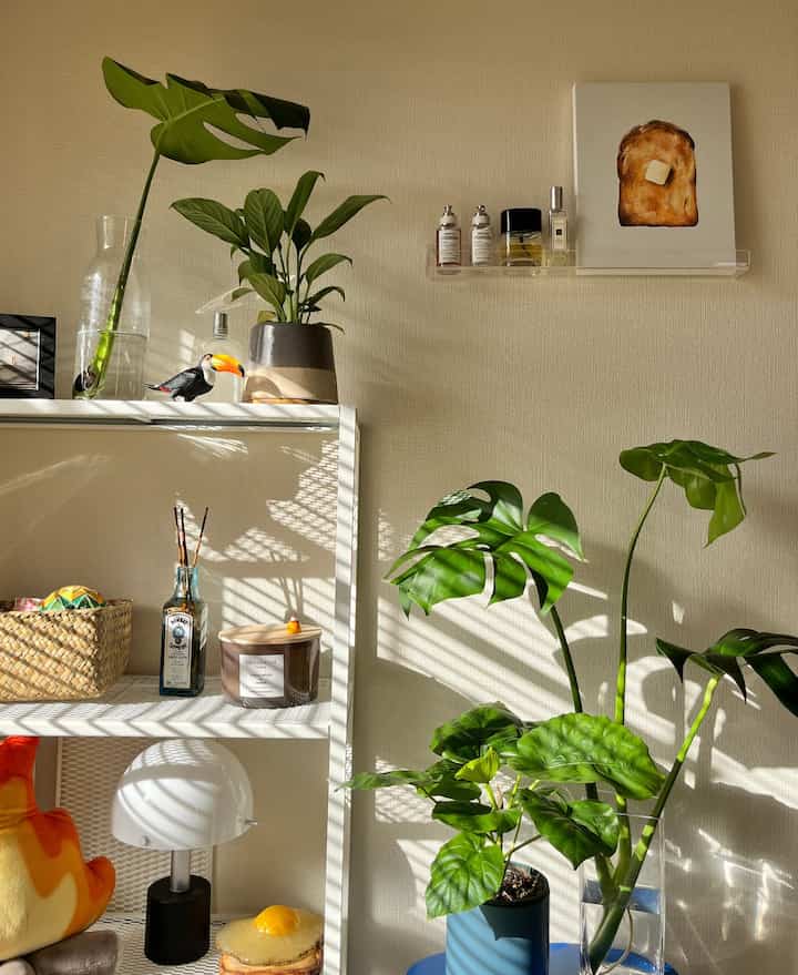 Cozy corner to start the day right! ☀️🪴

It's my favorite place, where I feel very calm every time the morning sunlight comes in.

#houseplants #賃貸インテリア #賃貸暮らし #plantlover #cozycorner 
#interiorinspo #greenery 
#homedecor #ikeahack #midcenturymodern #apartmentdecor #plantdecor #shelfie #minimalhome #interiorstyling #houseplants #homevibes #aesthetic