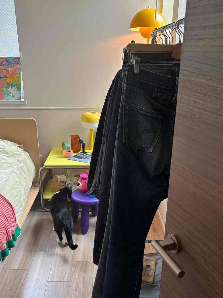 黄色のアクセントが目立つ寝室、ベッドと黄色のサイドテーブル、紫色のスツール、猫がいる温かみのあるインテリア