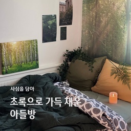🌲아들의 방에 초록빛 숨결을 불어넣었어요!
아들의 사주에 초록색이 좋다는 말을 듣고, 아이 방을 온통 초록빛으로 꾸며봤어요.
이케아에서 구매한 짙은 카키색 쿠션 커버와 초록색 쉬폰 커튼 으로 포인트를 주고 무인양품 녹색 이불 커버로 아늑하고 집중력을 높이는 공부 공간을 만들었답니다. 예비 고1 아들의 방이 초록빛으로 가득 채워지니, 저절로 활기가 넘치는 것 같아요.
장시간 공부에도 편안함을 유지해주는 시디즈 아이블 의자와 깔끔한 디자인의 데스커 책상은 3년이 지난 지금도 미니멀한 디자인 그대로, 처음처럼 깔끔하게 자리를 지키고 있어요. 최고의 조합입니다~
#우리집잘산템빙고 #침실 #아들방인테리어  #책상의자 #서울대의자 #데스커책상 