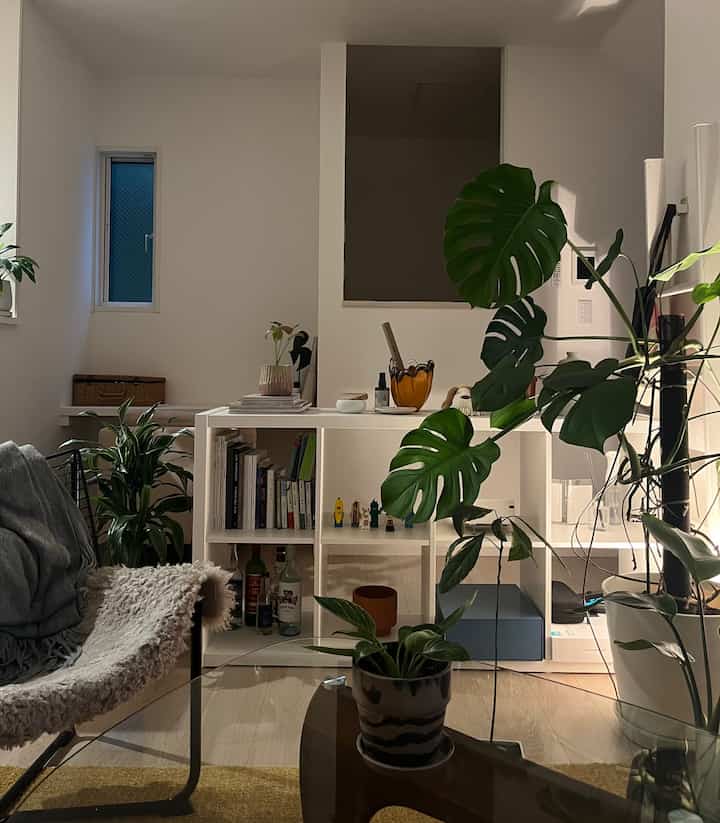 
#interior #interiordesign #midcentury #livingroomdecor #greeninterior #cozyhome #cozyliving #ikea #isamunoguchi
#賃貸インテリア #賃貸暮らし #観葉植物 #北欧インテリア #モダン #인테리어　#홈인테리어
#감성인테리어