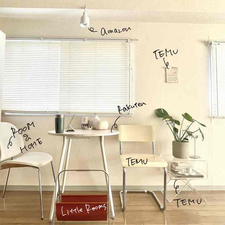 Bright white and wood-tone Mid-Century Modern dining room featuring dining chairs, table, and green plant with a cozy atmosphere