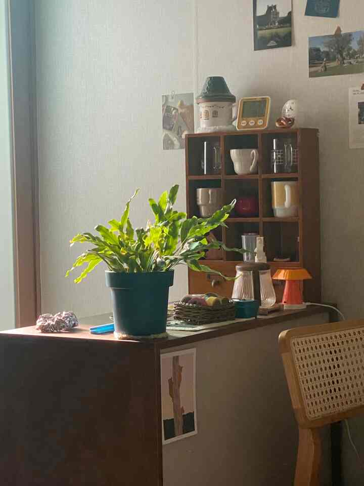 ナチュラルな木目調と植物が調和した、雰囲気のあるカフェ風ダイニング空間