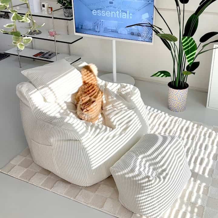 白を基調としたリビング、中央に白いビーズクッションと植物が配置されたシンプルでナチュラルな空間