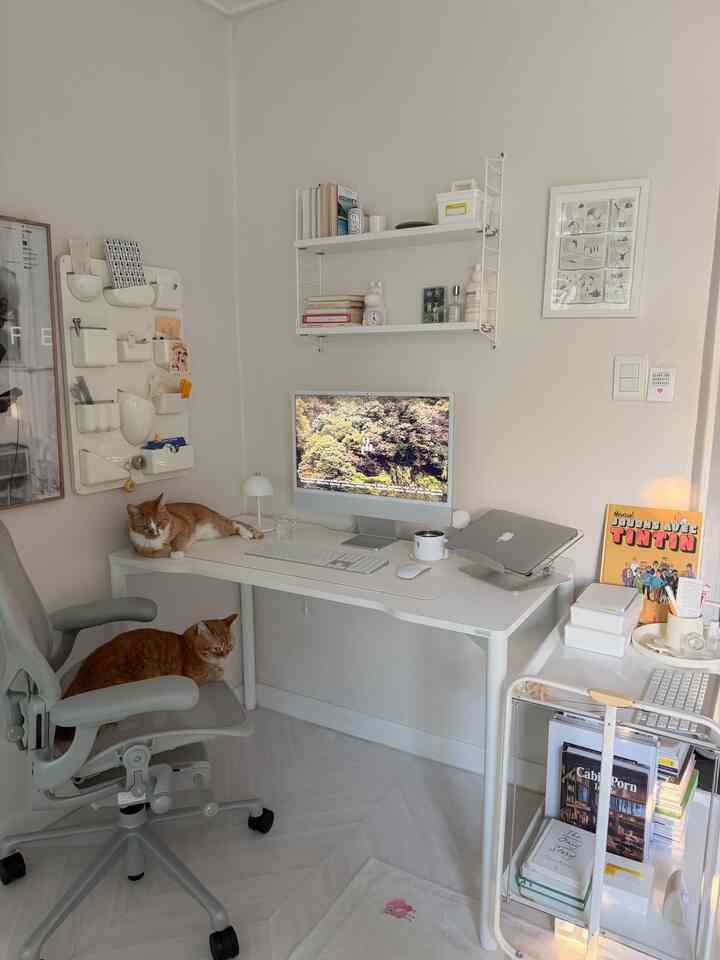 ワークスペースは仕事に集中できるようにすっきりしたほうがいい 


＃ダガグ＃ダガグ＃リアルダガグ＃ペルマタネオ＃コンピュータデスク＃デスク＃勉強デスク＃ゲームデスク＃デスク飾る＃デスクテリア＃デスクスタグラム＃デスクインテリア＃セルフインテリア＃デスクおすすめ＃デスクフィード＃今日の家＃ #desksetup #desktour #deskstyling #desk