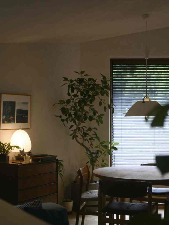 ブラウン系の食卓とヴィンテージ風チェスト、ブラインドがあるリビング空間にシンボルツリーと観葉植物が配置された落ち着いたインテリア