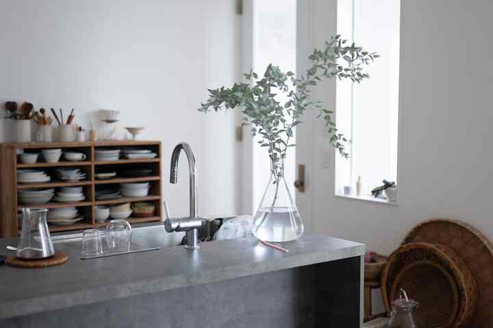 庭木をカットしてここに飾るのが定番化している 

#枝物 #フラワーベース #干しザル #グラフテクト #ホワイトユーカリ #古道具