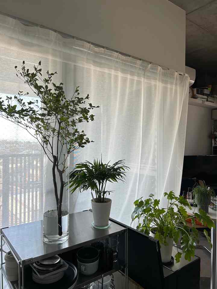 植物みて癒され中

#ワンルーム　#一人暮らし　#窓カーテン 