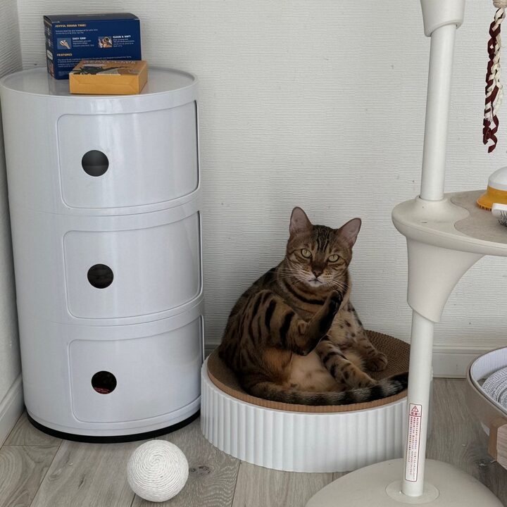 short form carousel card thumbnail