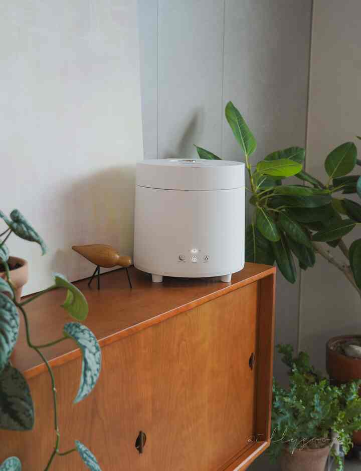🌿製品協賛
急激に寒くなる天気！冬の準備は皆さんですか？
私は昨日から暖房を回し始めました〜

それで加熱式加湿器であるステンポットを稼動させ始めました！ 
加熱式加湿なので、暖かい空気だけでなく、しっとりとした呼吸器の状態を維持できます。 

季節の子供たちの鼻炎や呼吸器の健康にとても良いですよ！ 
普通は協賛を送ってくださると急いで使用機を書いてみる場合が多いのですが～ 
2ヶ月前に送ってくれて天気が寒い日には使い続けてみましたか？ 
しかし、賞賛する距離が多すぎます！ ㅎㅎㅎ

6リットルの十分な容量も良く、特に噴射口から内鍋までオールステンなので、その点が一番良かったです。 

二重構造のボタンも安全ですよ！ 
子供の頃、ジョーㅈルㅅ加湿器ドランス？まで貸してみたことを思い出しながら〜 

その時ステンポットに会えばよかった。気が付いたんですよ！ 
では加湿器遊牧民しなかったはずなのに…やってね！ 
天気が娯楽風邪も娯楽～こんな日加湿器悩みなら！ 

加熱式加湿器!!!ステンポットしてください！ 
。
。
。
＃ステンポット＃ステンポット加湿器＃加熱式加湿器＃加湿器＃加湿器推奨 
＃家を飾る＃ホームスターグラム＃マイルーム＃ホームスイートホーム 
#植民地時代 #プランテリア #植物インテリア #ガードニング #planterior #gardening