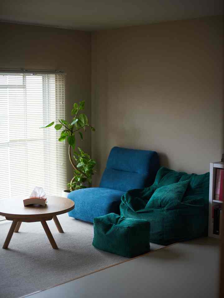 新入りソファ🛋️色の組み合わせもお気に入り
#ソファ #ENEN #loosy #植物 