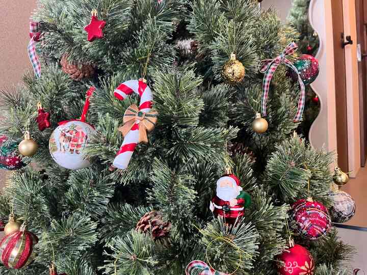 #玄関 #廊下 #クリスマス #クリスマス飾り #クリスマスインテリア #クリスマス装飾 #クリスマスツリー #オーナメント #タイル #タイルの床 #リノベーション #一戸建て #一戸建てリノベ #カラフル #カラフルなインテリア #ミッドセンチュリー #midcentury