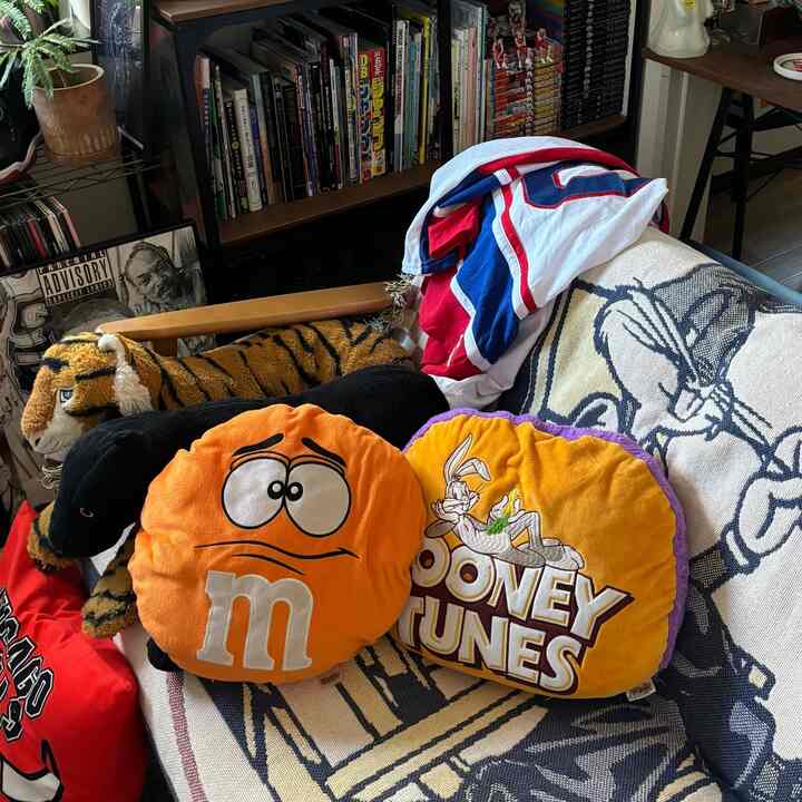 バッグスバニーのブランケット買えたので少し模様替え🐰
#アメリカン
#アメトイ
#植物
#雑貨