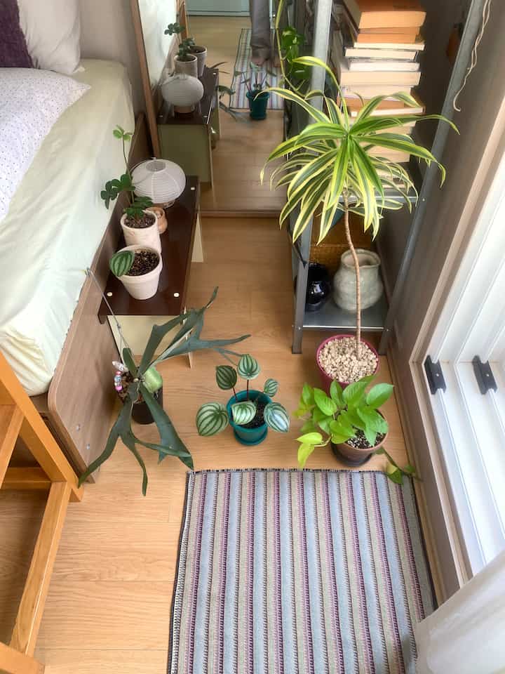 ナチュラルな木目調の床とベッドがある狭くコンパクトな寝室、多数の植物と棚が配された雰囲気のある空間