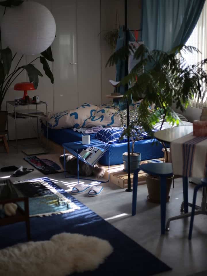 Blue-toned bedroom featuring natural plants and cozy bedding creating a warm atmosphere