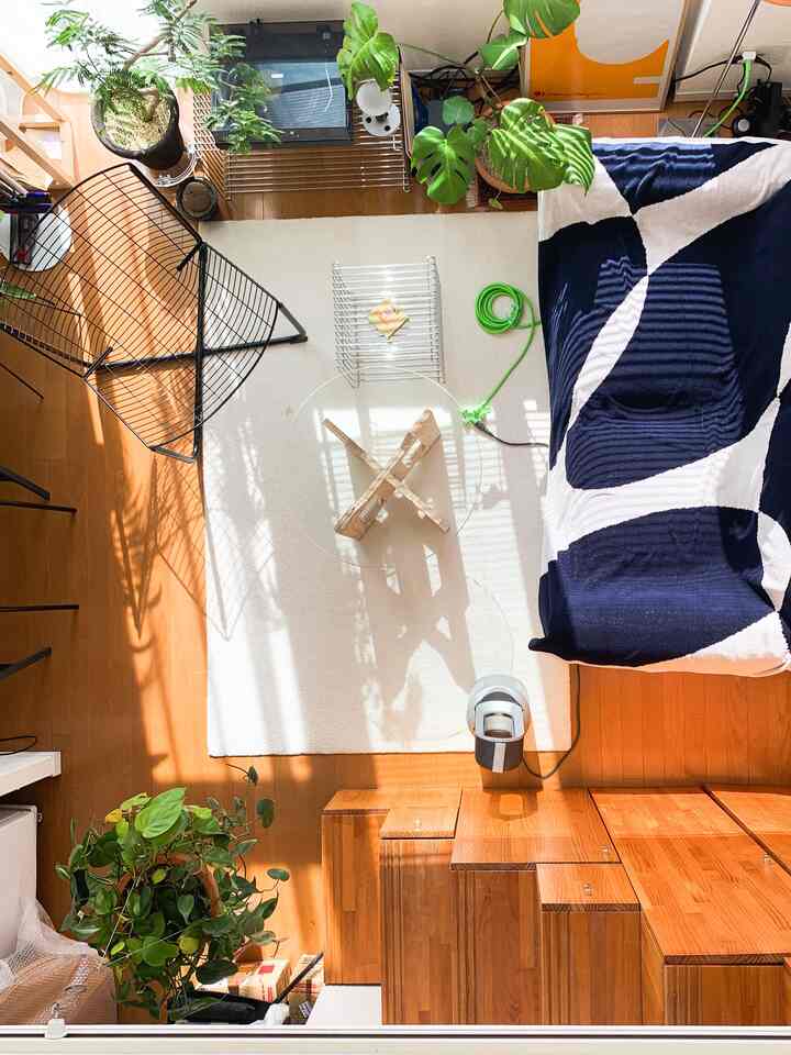 黒と白のパターンのスローが置かれたモダンなリビング、広い白いラグと緑の植物が調和する明るい空間