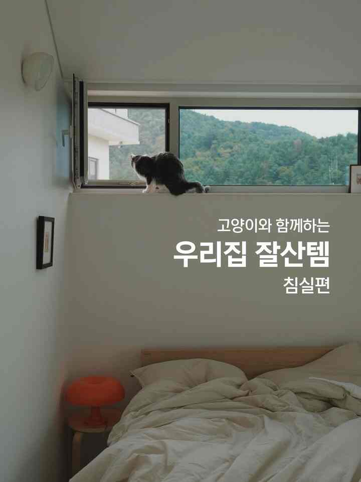 😸🛏️猫と一緒に居心地の良い寝室のための今年のわずかな変化

今年、私たちの家の寝室に新しく入ったアイテムは、空間に暖かさを加えるとともに、実用性を高める役割をしています。
落ち着いた暖かい夕日の日当たりの良い寝室で、穏やかなリラクゼーションの空間をさらに居心地よくさせてくれる今年のよく山の寝室編をご紹介します。

1️⃣アルテミデネシノライト
ベッドの横の峡谷に位置するネシノ照明は、かわいいキノコの形で部屋の中に柔らかな光を満たします。 
アルテミデらしくシンプルながらも暖かい感じがいっぱいで、照明をつけると均一に広がるほのかな光が一日の緊張を癒してくれます。 
日中はインテリアオブジェとして可愛い存在感をあらわし、夜は柔らかな照度で寝室を包んでくつろぎの質を高める最高の協卓仲間です。

2️⃣グリーンウェールシュシュキャットタワー
寝室 一方、庭が一番よく見える席は猫の分です。
ここに置かれたキャットタワーは猫に窓の外の風景を眺めることができるようにしてくれます。
グリーンウェールシュシュキャットタワーは5キロを超える私たちの猫が上がっても餅がなく、落ち着いた色とすっきりとしたデザインで落ち着いた雰囲気の寝室によく溶け込みます。
シュシュキャットタワーで寝室は人と猫がお互いの時間を楽しむ空間になります。

3️⃣ villa501 ラグ
冬が近づく前に、冷たい床を備えて置いたvilla501の赤いラグは、空間に暖かいオーラを吹き込みます。  #아르떼미데  #고양이가사는집  #주택살이 #러그 #villa501 

