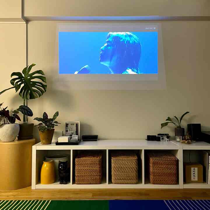 ヒカルパイセンの25th Tourの配信視聴中
日が短くなってきたので
夕方でもプロジェクターがくっきり📽️

#リノベーション #マンションリノベーション 
#howwelive #mylvngrm #apartmenttherapy
#interiordesign #interiordecor #interiorinspo
#interiorgreen #観葉植物