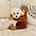 Cookie_home