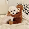 Cookie_home님의 프로필 이미지