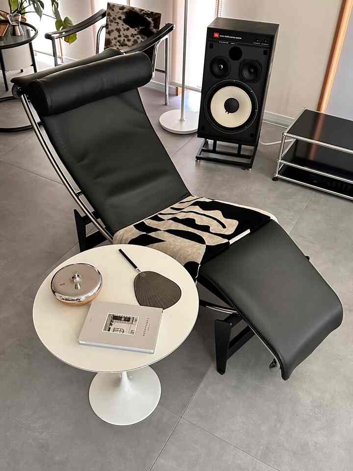 モノトーンな雰囲気もお気に入りです

#ルコルビジェ
#usmハラー