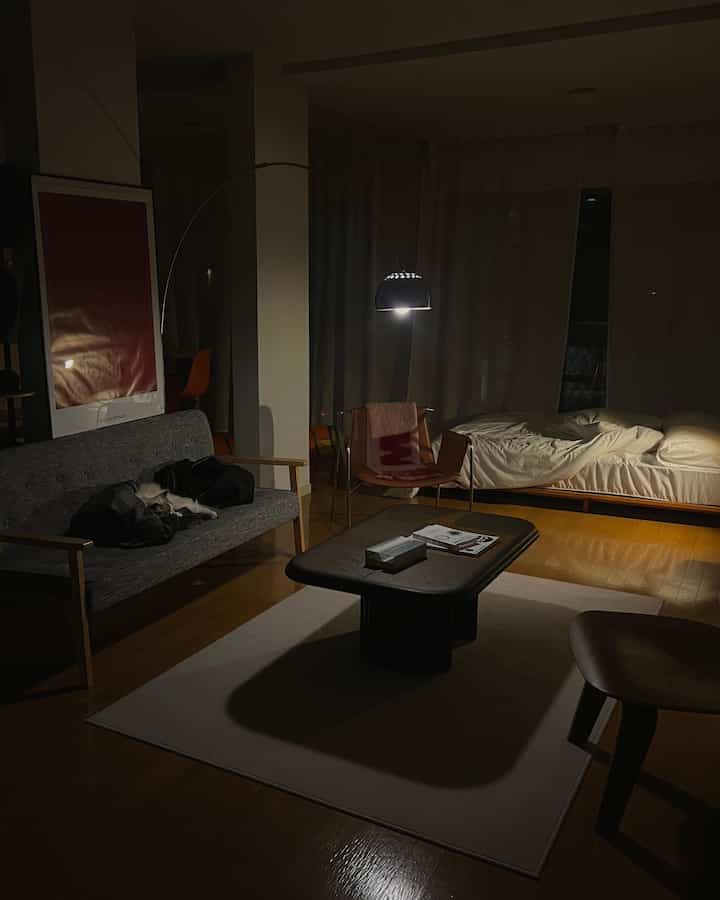 A simple modern studio apartment with a gray sofa, brown wood flooring, and a bed under dim indirect lighting