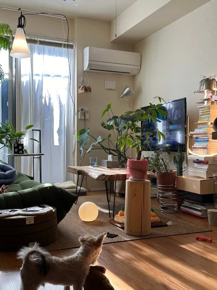 ナチュラルカラーのリビング、さまざまな植物と緑のソファ、木製のコーヒーテーブルが配置された雰囲気のある空間