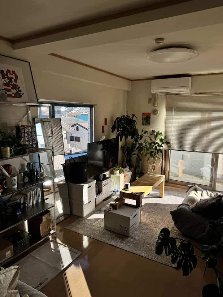 木目調とナチュラルカラーの調和が美しい、一人暮らしのワンルームリビング。ソファ、コーヒーテーブル、観葉植物が配置された温かみのある空間