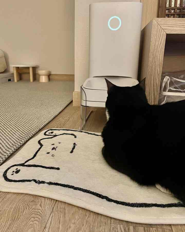 ナチュラルな色調の小さな空間、自動給餌器の前に白いバスマットの上で黒猫がくつろいでいる雰囲気のあるペットスペース