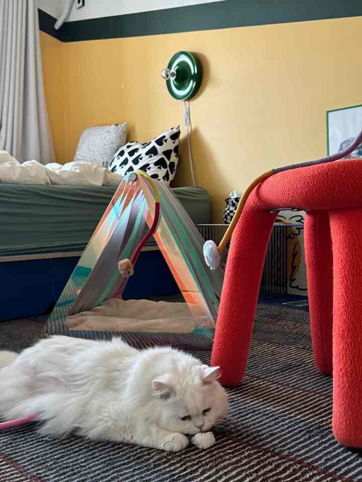 Cozy bedroom with yellow walls and green bed, featuring a white cat and transparent cat play tent on the floor