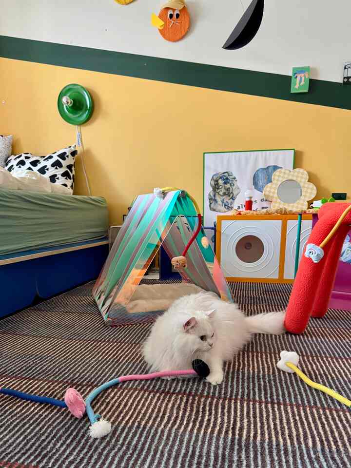 Yellow and green toned bedroom featuring cozy furniture and pet toys with a warm, playful atmosphere
