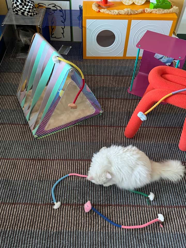 ナチュラルな色調の子供部屋、猫のおもちゃやペットハウスが配置された温かみのあるインテリア