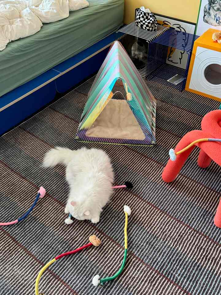 ナチュラルカラーのリビング、緑のソファと猫のおもちゃ、カラフルなペット用隠れ家が配置された雰囲気のある空間