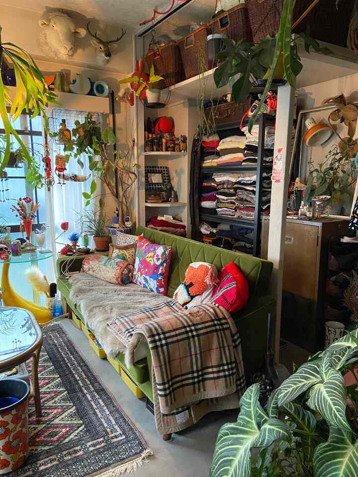 ソファスペースって部屋の中で1番最初に季節感が出る場所かもしれません。

変える時もソファ部分だけのカラーバランスと、部屋全体とのトーンの調整は忘れずに、です◎
#ミッドセンチュリー #昭和レトロ #ヴィンテージ
#観葉植物 #グリーンインテリア #多国籍インテリア
#リビングインテリア #ソファインテリア #カリモク60 #ロビーチェア