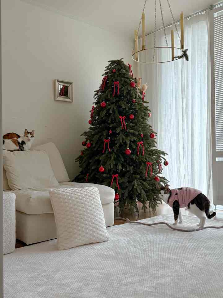 #오늘부터크리스마스

Tahun lalu, konsepnya putih + perak.
Rasa merah tahun ini❤️❤️

#20 pohon pyeong #180트리 #대형트리 #트리꾸미기 #트리장식 #리본오너먼트 #리본트리 #크리스마스 #크리스마스트리 #크리스마스소품 #자취방크리스마스 #자취방트리 #자취방