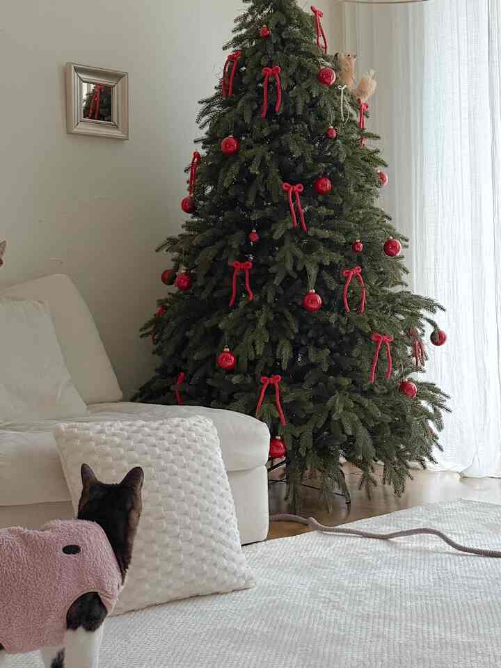 White-toned living room featuring a large Christmas tree and a pet cat, creating a cozy atmosphere