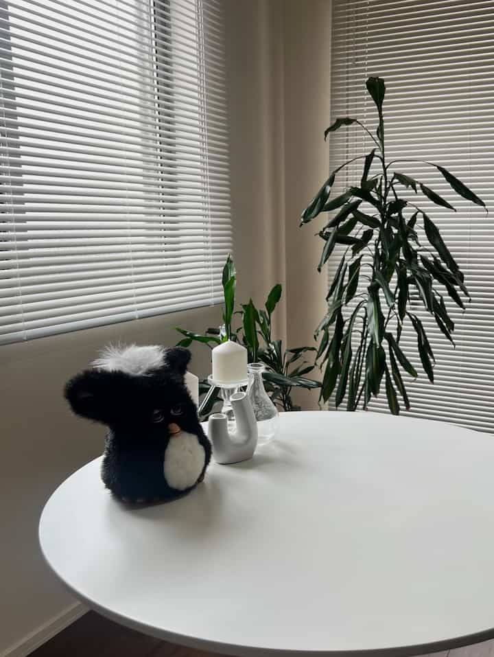 シンプルで白な空間🕯️✨
ブラインドの色は悩んだけどピュアホワイトにしています。
取り付けも簡単で良かった。
#リビング #カフェテーブル #白 #ブラインド #ブラインドおすすめ #グリーン #観葉植物 