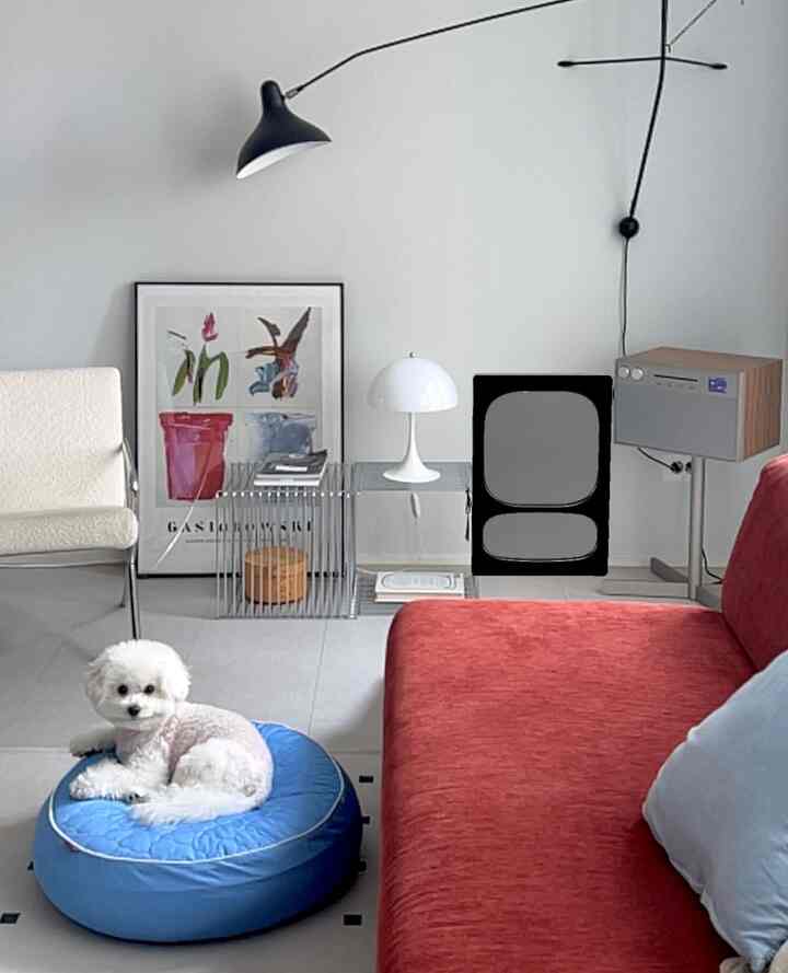 White and red toned living room featuring a red sofa, white armchair, and a blue dog bed, creating a modern atmosphere