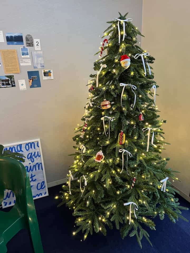 Ready for Christmas.🎄❤️

今年はおっきいクリスマスツリーが欲しくて
念願の180cmのものを購入🛒

PE 100％のものがよかったんやけど
予算オーバーでPE×PVC混合のものに…🌲

なんとか理想の形になったけど
ツリーの枝分けと形整えるのに時間かかって
設置と飾り付けでなんと4時間🤫😂

飾りは白リボンとオーナメント🚗🎅🏻🌈🤍
オーナメントをもっといっぱいつけたいから買い足さないと🫶🏻🥹

#クリスマスツリー #クリスマスツリー飾り付け #クリスマスツリーオーナメント #크리스마스트리 #크리스마스트리만들기