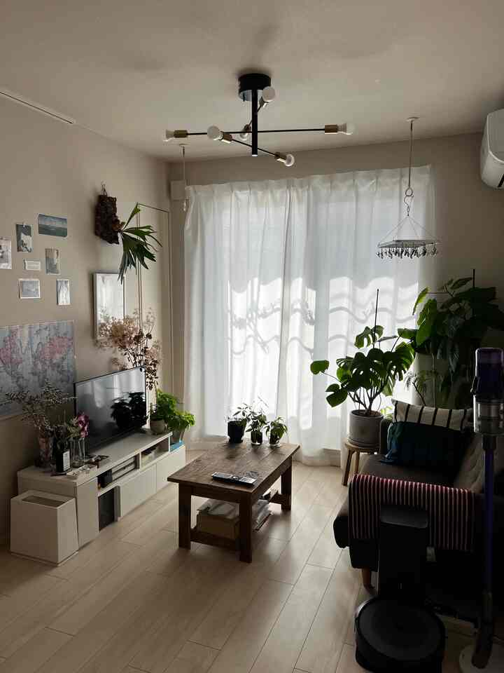 A natural living room with white and wood tones, featuring a wooden coffee table, sofa, and numerous plants creating a cozy atmosphere.