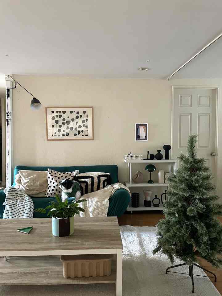 A 1DK living room with a khaki green sofa and cream walls, featuring a Christmas tree and a dog adding cozy accents