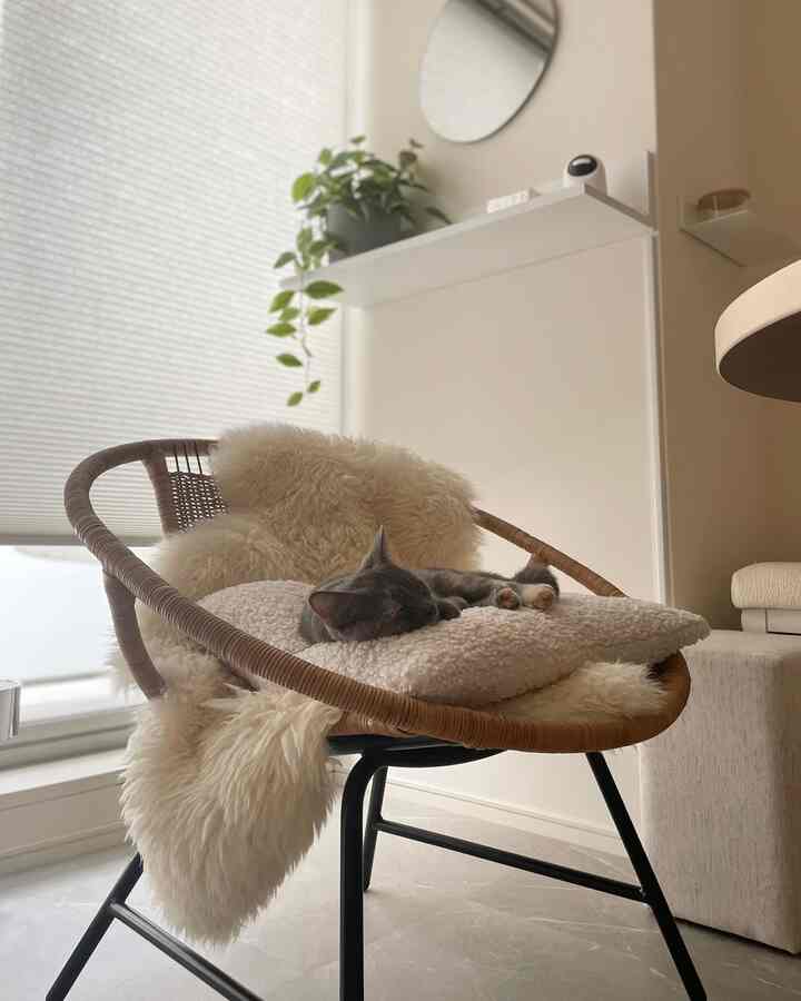 #猫インテリア #猫がいる暮らし #猫のいる生活 